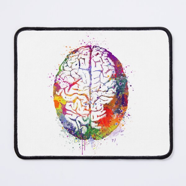Item preview, Human Brain Watercolor Anatomy designed and sold by LotusGifts.