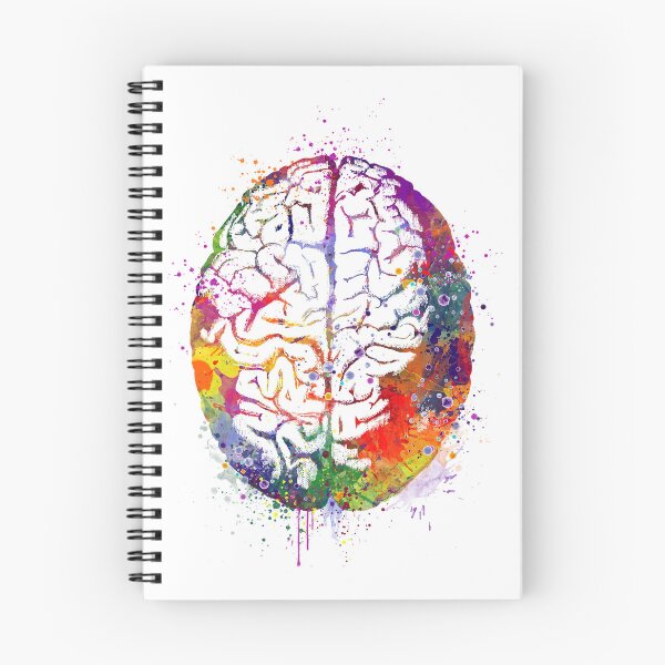 Item preview, Human Brain Watercolor Anatomy designed and sold by LotusGifts.