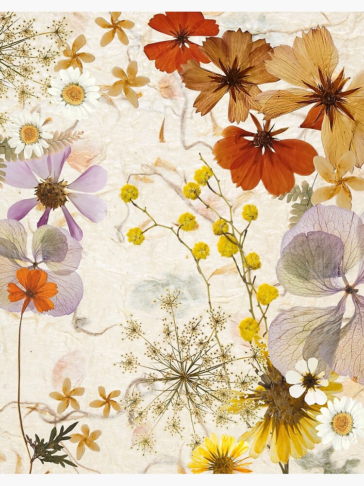 Pressed flowers, dried flowers, wildflowers, floral wall art Art Print for  Sale by FantasyShades