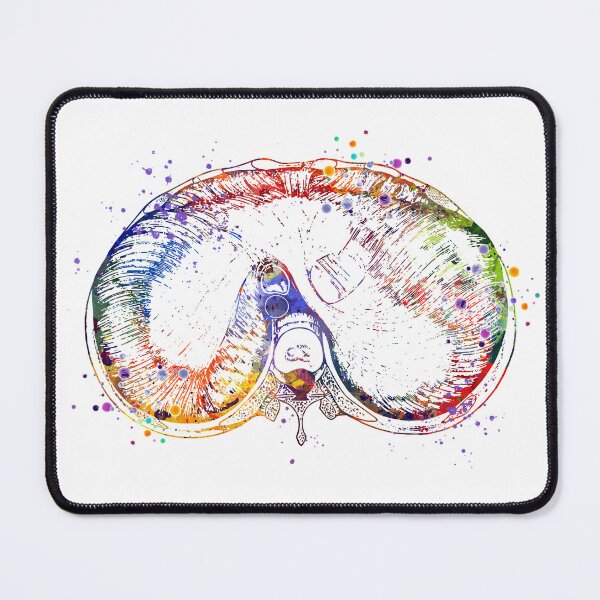 Item preview, Thoracic Diaphragm Watercolor Medical Gift designed and sold by LotusGifts.