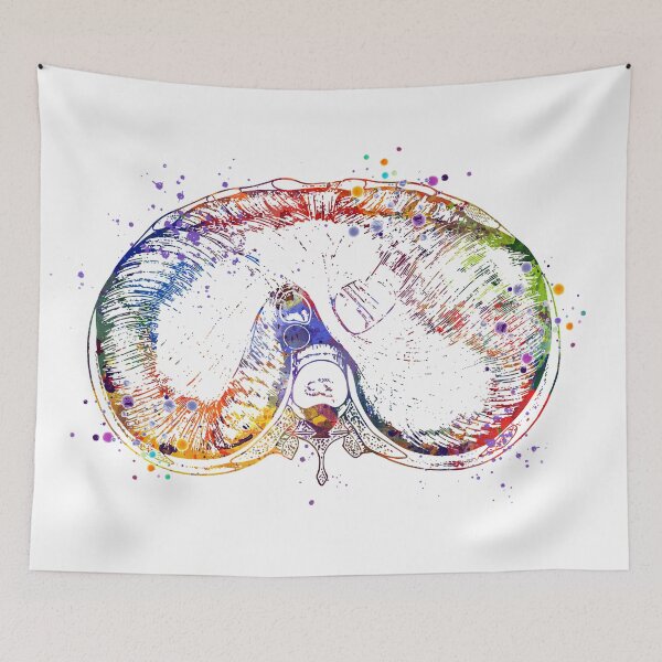 Item preview, Thoracic Diaphragm Watercolor Medical Gift designed and sold by LotusGifts.