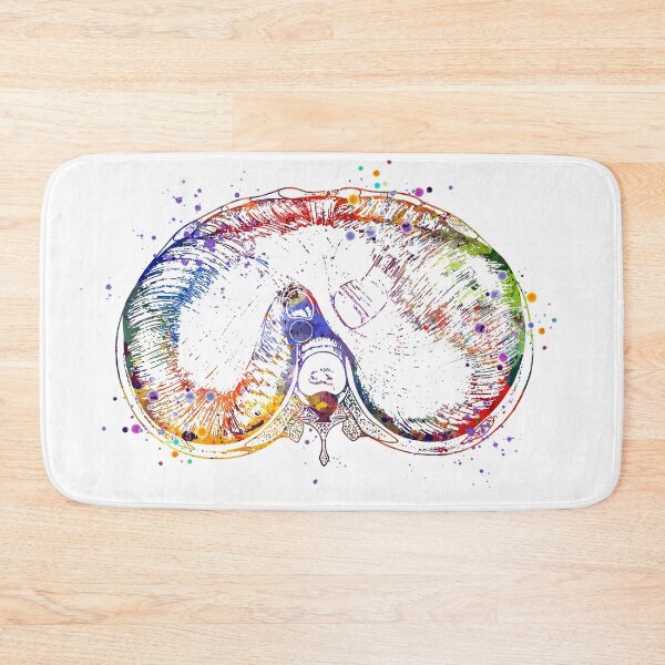 Item preview, Thoracic Diaphragm Watercolor Medical Gift designed and sold by LotusGifts.