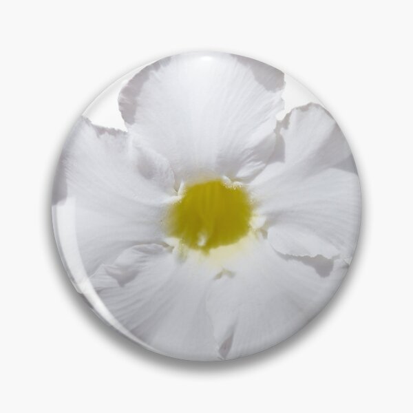 Artikelvorschau, White flower entworfen und verkauft von IgorKovalenko.