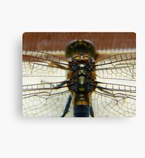 dragonfly3 Canvas Print