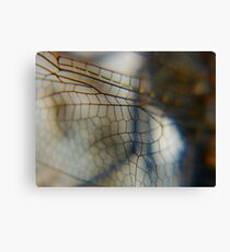wings Canvas Print