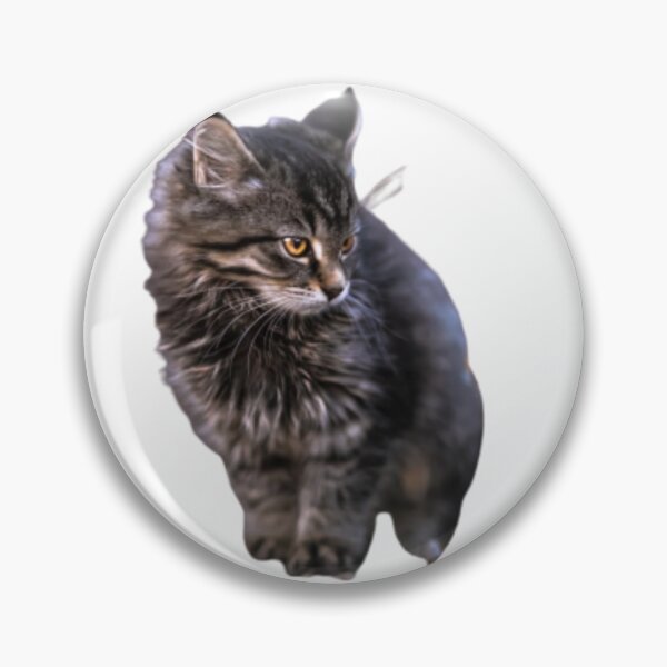 Artikelvorschau, LANGHAARIGES BROWN-TABBY-KÄTZCHEN entworfen und verkauft von giantstep.