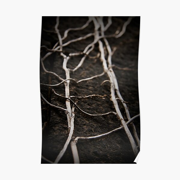 These old Veins... Poster