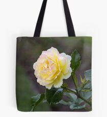 Autumn Roses Tote Bag