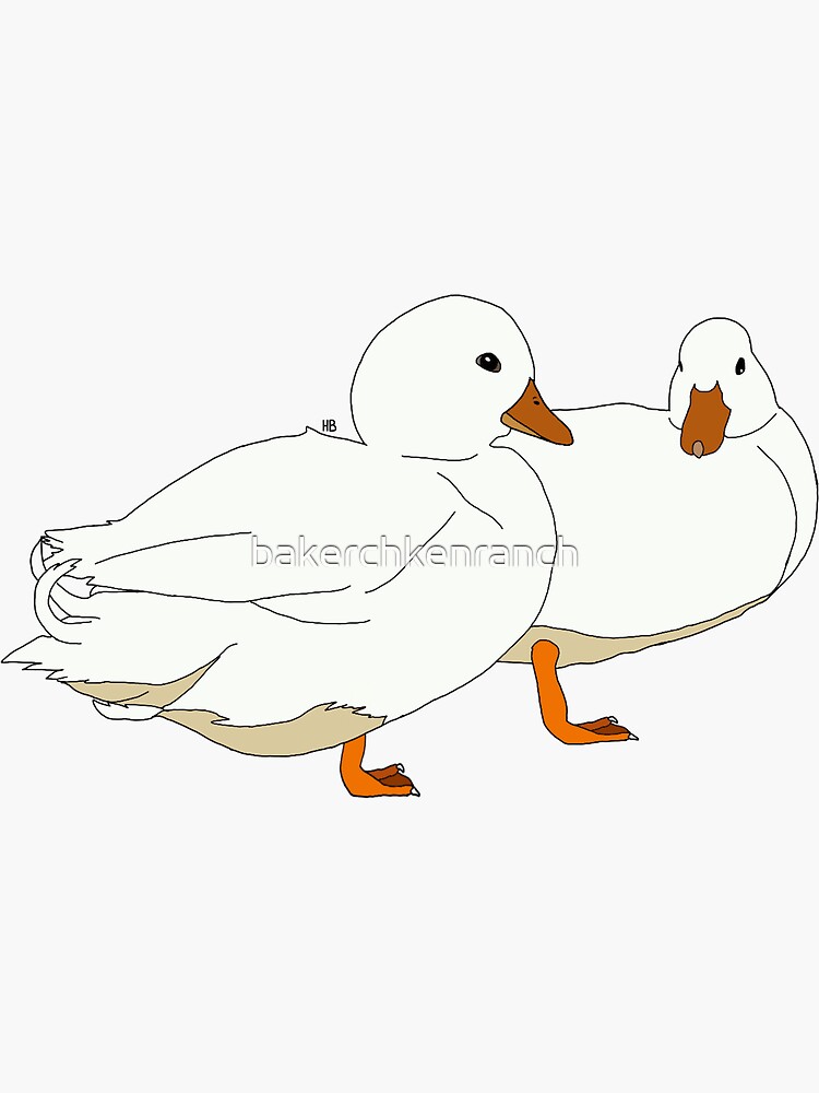 "White Call Duck Pair" Sticker by bakerchkenranch Redbubble