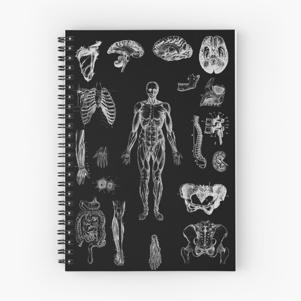 Item preview, Vintage human anatomy  designed and sold by Preslava Genova.