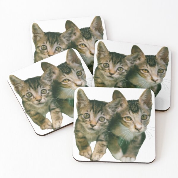 Item preview, TWO BROWN  TABBY KITTENS designed and sold by giantstep.