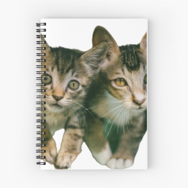 Item preview, TWO BROWN  TABBY KITTENS designed and sold by giantstep.