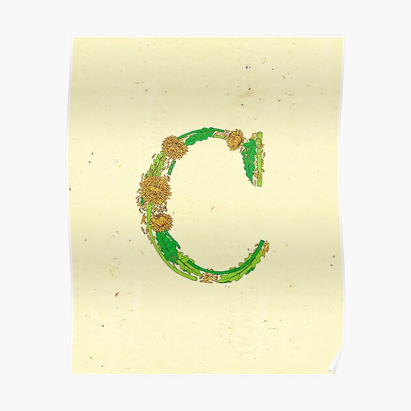 Le Jardin de Adalaine - C Poster