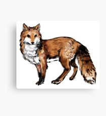 Ink Brush Fox Canvas Print
