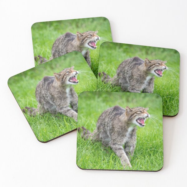Item preview, Wild Cat Snarling designed and sold by Simon Baylis.