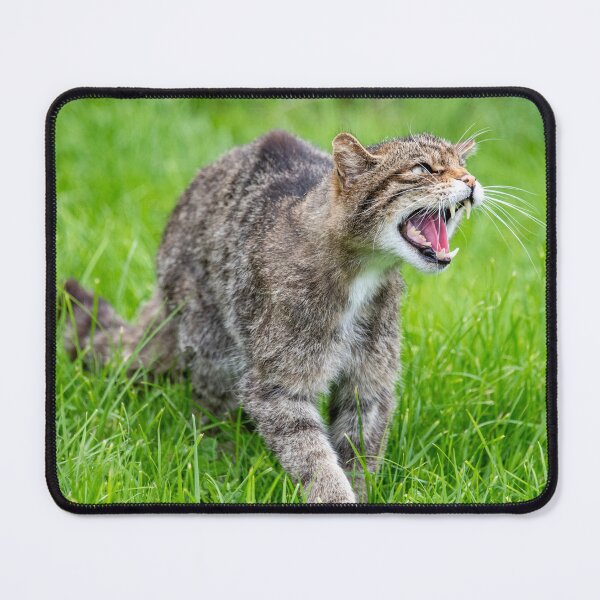 Item preview, Wild Cat Snarling designed and sold by Simon Baylis.