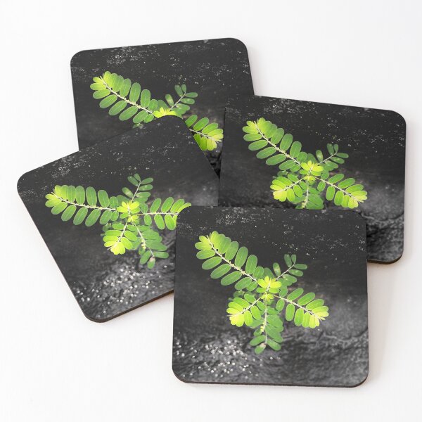 Item preview, A plant resistant to the dark world around you designed and sold by willamsharking.