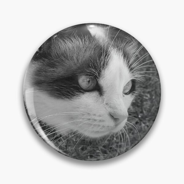Item preview, Portrait of a domestic cat  designed and sold by willamsharking.