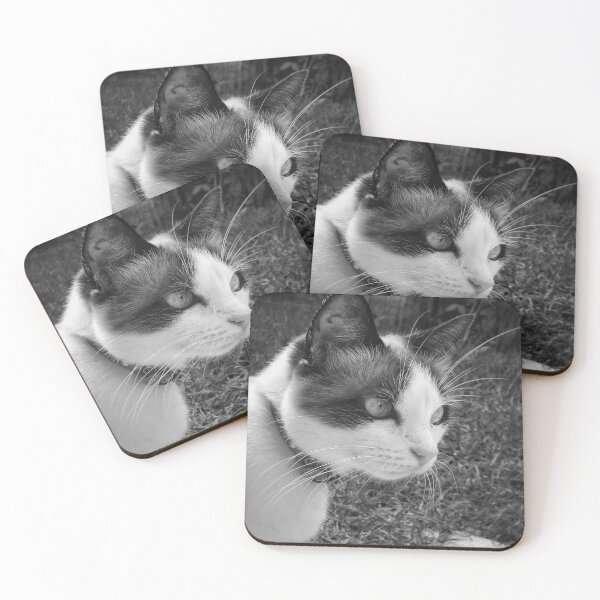 Item preview, Portrait of a domestic cat  designed and sold by willamsharking.