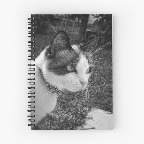 Item preview, Portrait of a domestic cat  designed and sold by willamsharking.