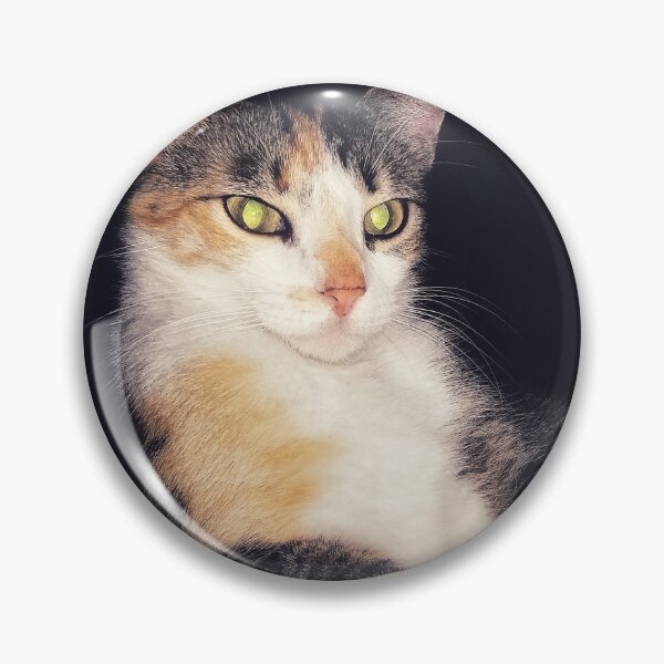 Item preview, Portrait of a domestic cat  designed and sold by willamsharking.