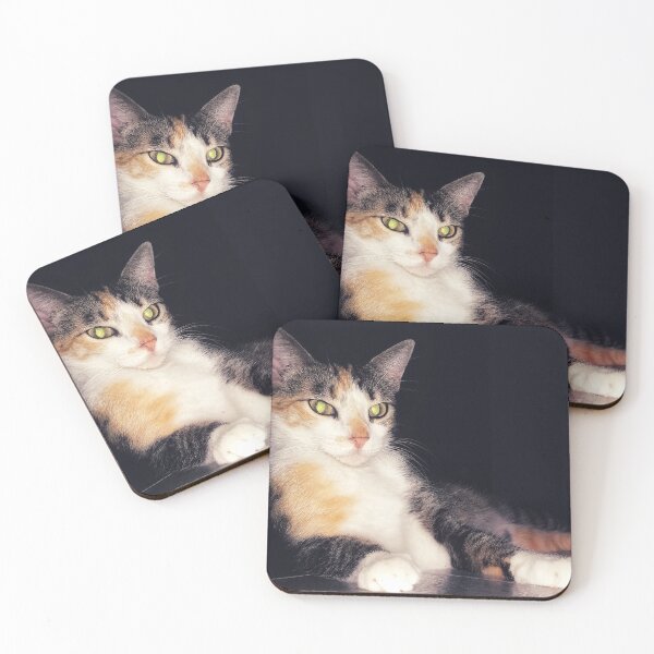 Item preview, Portrait of a domestic cat  designed and sold by willamsharking.