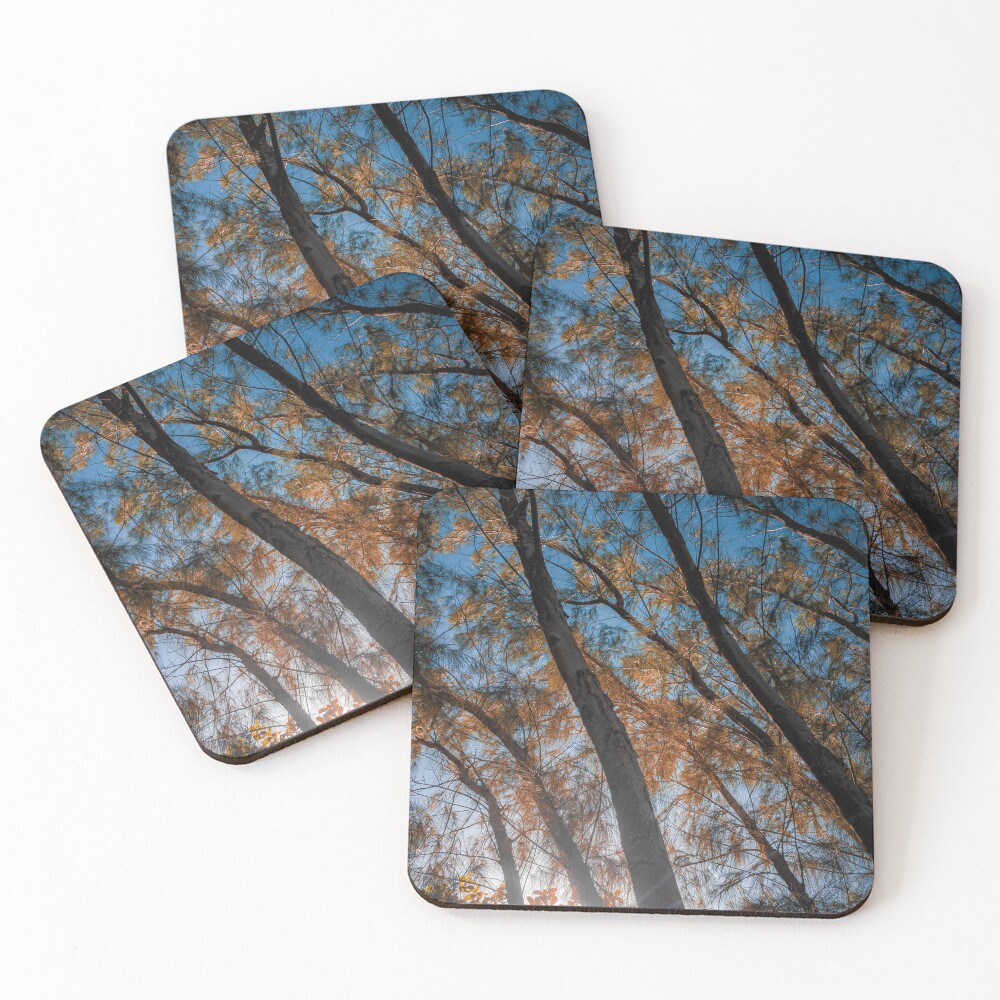 Item preview, Coasters (Set of 4) designed and sold by willamsharking.
