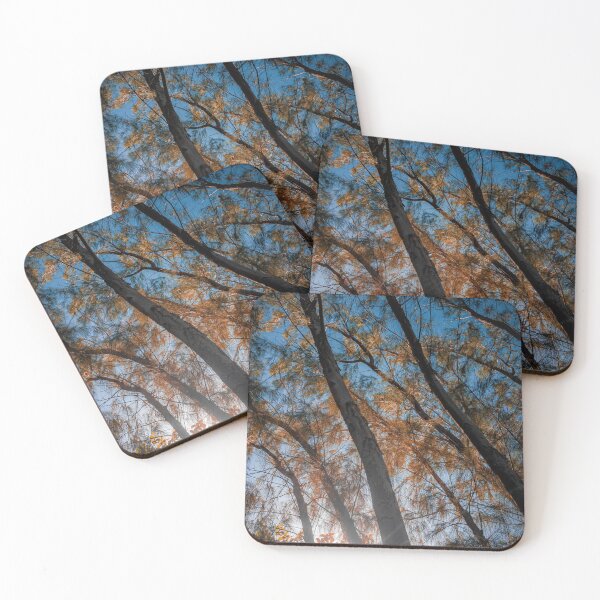 Item preview, Tree path designed and sold by willamsharking.