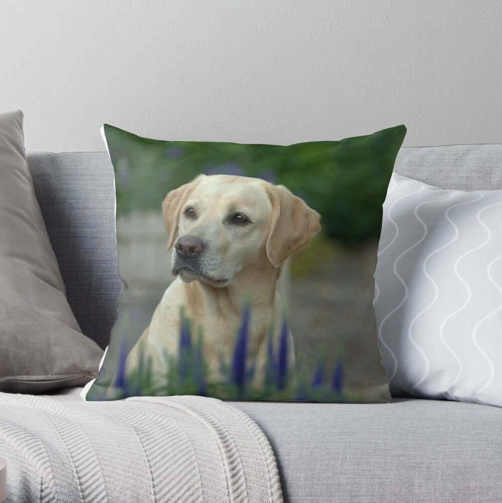 yellow lab throw pillows