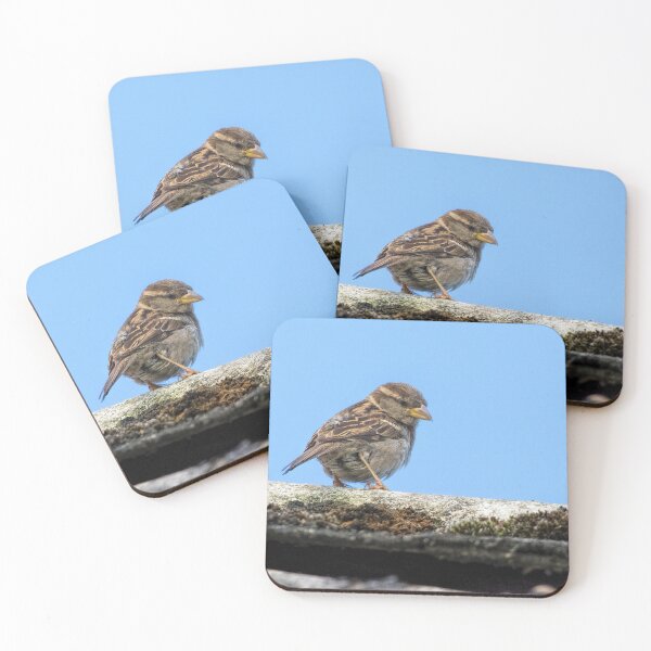 Item preview, Little Sparrow designed and sold by Phil Hemsley.