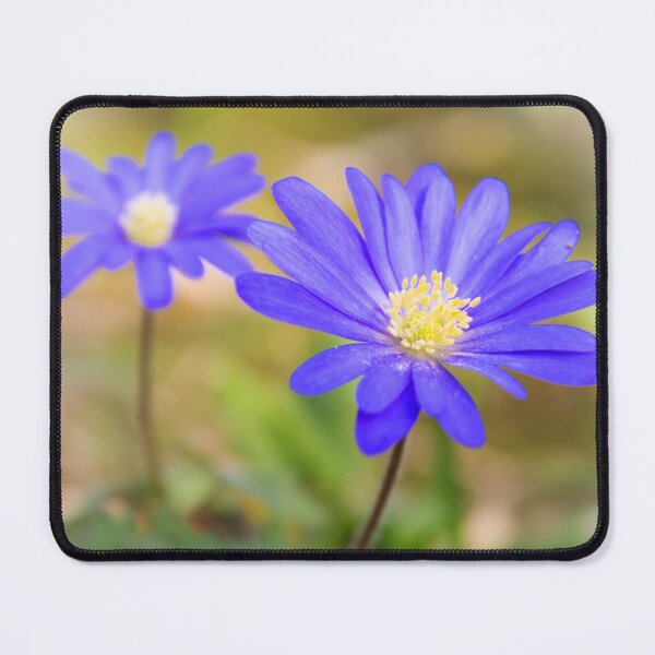 Item preview, Anemone Blanda designed and sold by JEZ22.