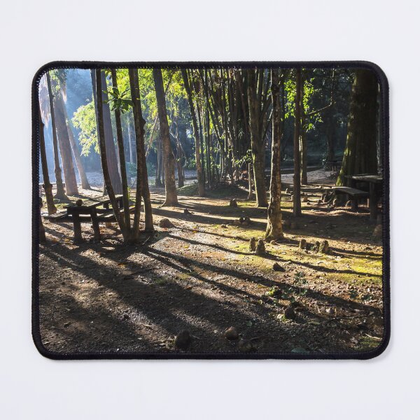 Item preview, sunny morning. designed and sold by Nino rocha fotografia.