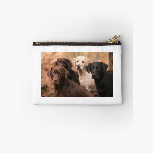Item preview, four labradors designed and sold by claireliz.