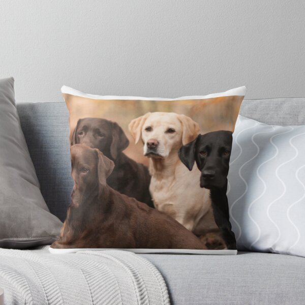 Item preview, four labradors designed and sold by claireliz.