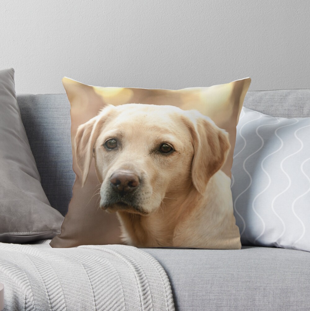 yellow labrador pillow