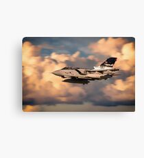 Shiny Two Canvas Print