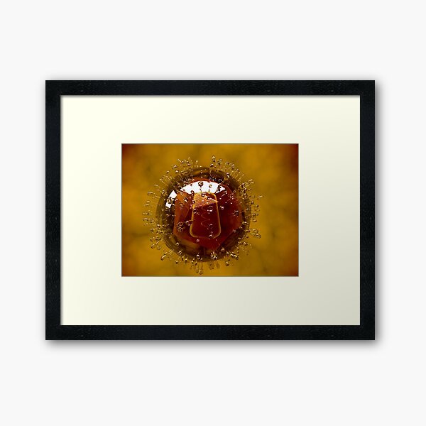 Item preview, Conceptual image of coxsackievirus. designed and sold by StocktrekImages.