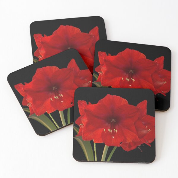Item preview, Amaryllis designed and sold by Amanda1775.