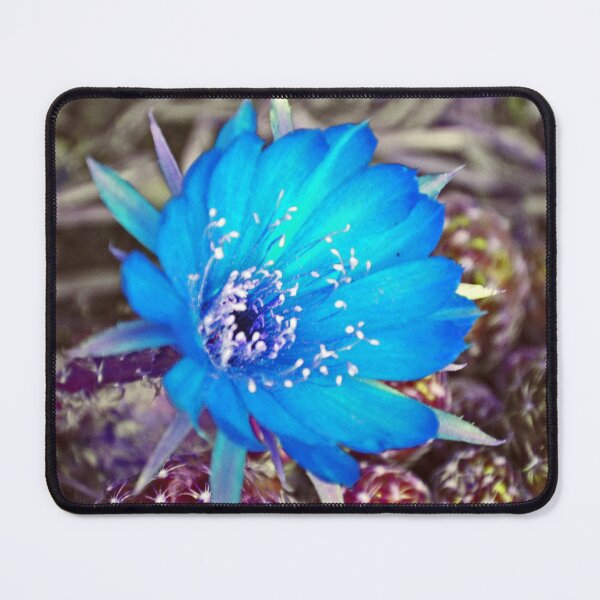 Item preview, Blue Cactus designed and sold by treborbob.