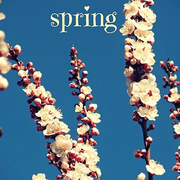 Artwork thumbnail, spring by FandomizedRose