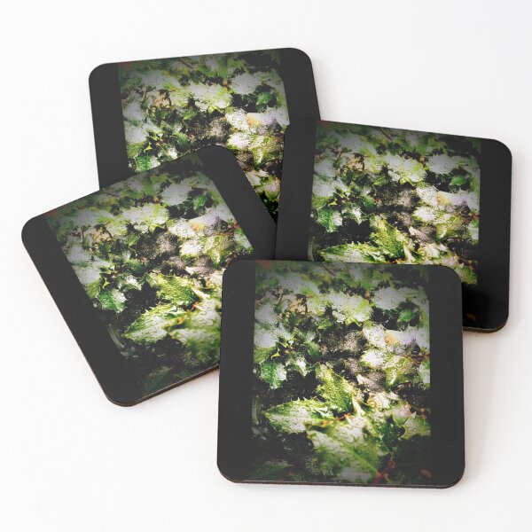 Item preview, Rain Drops On Holly Bush Photograph Design designed and sold by EarthArtDesigns.