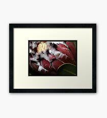 Plush Framed Print