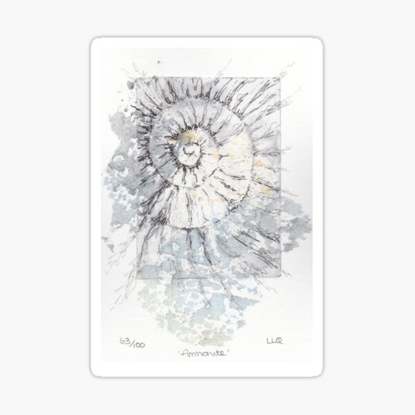 Ammonite no.63 - 100 ammonites project Sticker