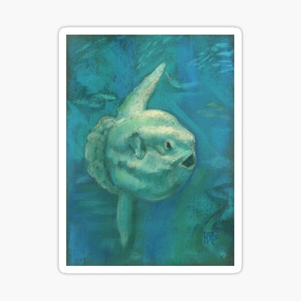 Sunfish, Mola Mola, Sun Fish, Underwater Nature Ocean Creatures Sticker