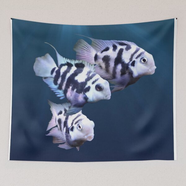 Item preview, POLAR BLUE PARROT FISH – ZEBRA CICHLID designed and sold by Danicus666.