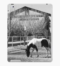 Serenity iPad Case/Skin