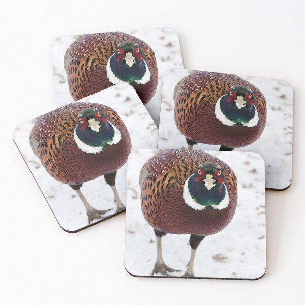 Item preview, Male Ring Necked Pheasant designed and sold by Alyce Taylor.