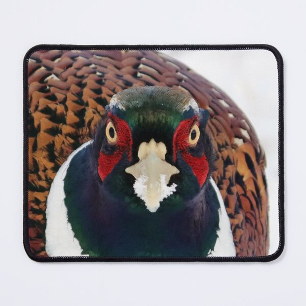 Item preview, Male Ring Necked Pheasant designed and sold by Alyce Taylor.