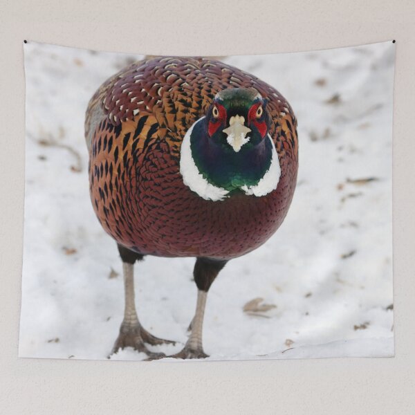 Item preview, Male Ring Necked Pheasant designed and sold by Alyce Taylor.