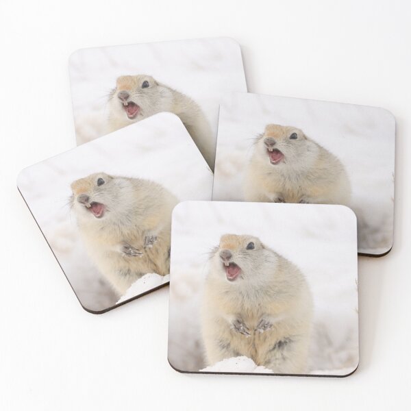 Item preview, Hey!  Hey you! designed and sold by Alyce Taylor.